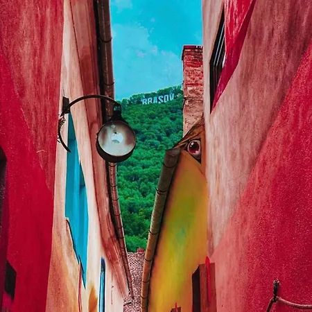 Vibe Brasov