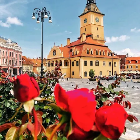 Vibe Apartment Brasov
