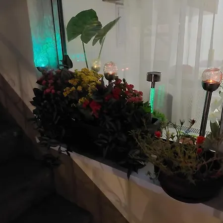 Vibe Apartment *
